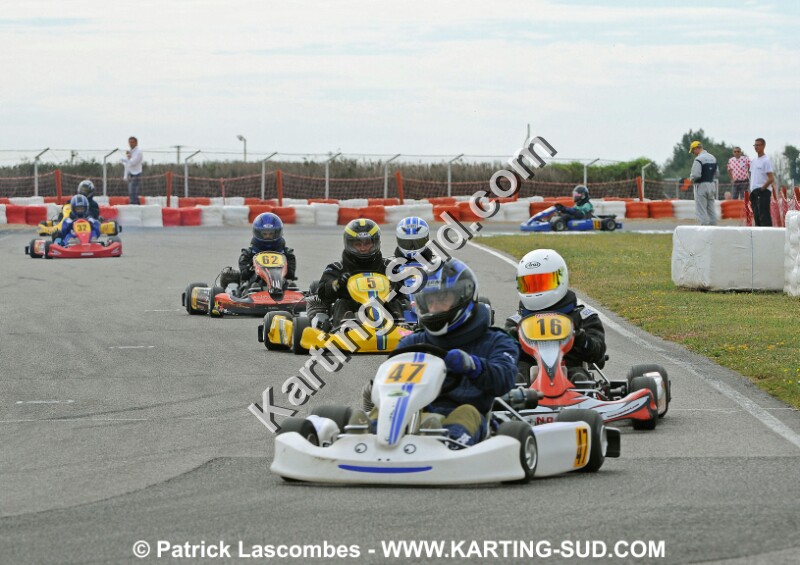 _DSC4221 copie.jpg